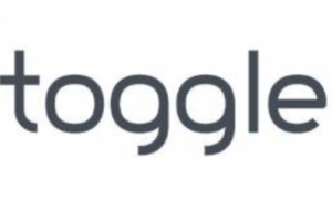 a logo for toggle is shown on a white background .